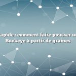 Réponse rapide : comment faire pousser un arbre de Buckeye à partir de graines